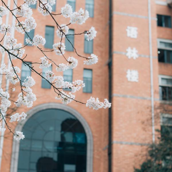 小年给女朋友的说说、**好景美丽，小年显