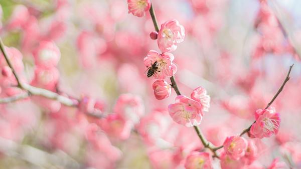 关于孩子第一个儿童节的说说