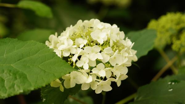 小年说说开心的话 什么是小年?就是小心