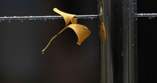 唯美伤感QQ空间说说