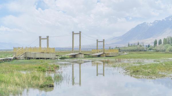 小年说说祝福语、立春了，祝您春意盎然