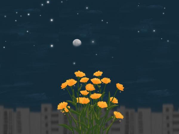 愚人节给女朋友说说--愚人节了,给大家提醒