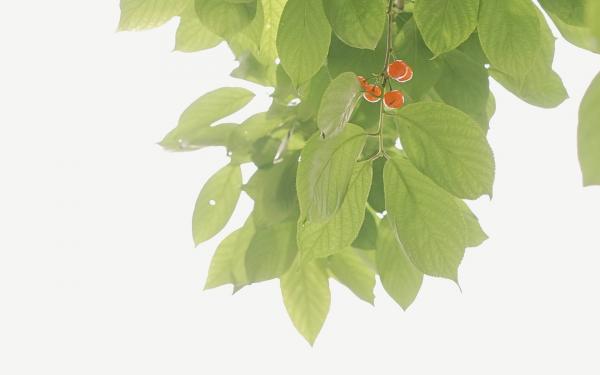 儿童节6月1号朋友圈说说 六月我们一定会迎来真