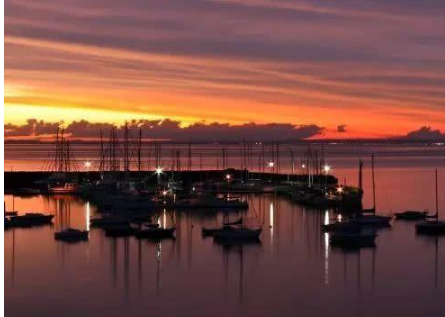 春分的祝福表情--今日春分，早安，春天