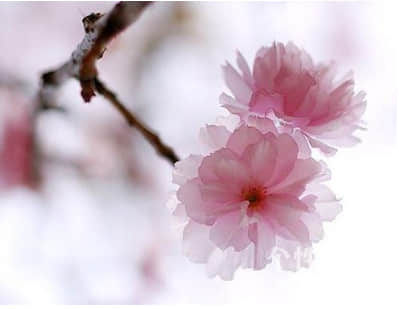 2022立春说说文案