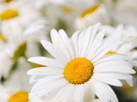 3.14情人节心情说说 **14，你是圆形的