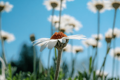 大家好立春祝福图片 立春在即，头顶的阳光
