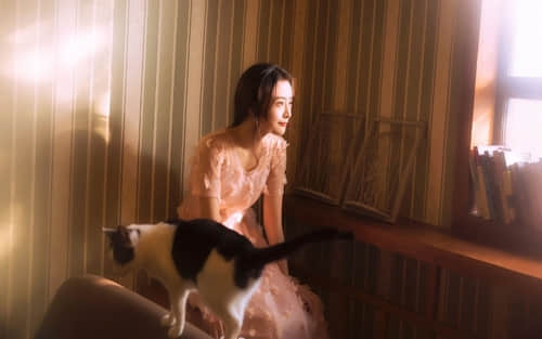 中秋祝福谷雨、**小桥流水，映照出