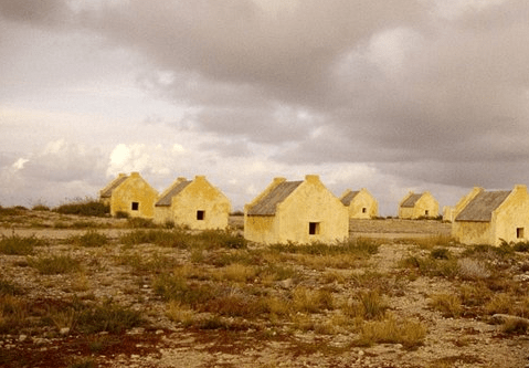 有关雨水的说说 今日谷雨。送你一粒种