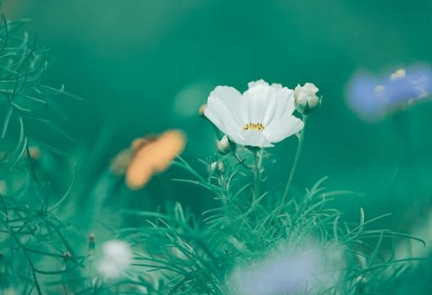 情人节买车朋友圈说说、你稍微记一下，我找你