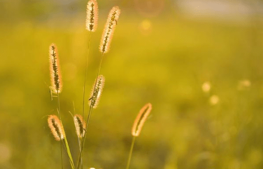 六一儿童节不能回家陪宝宝的说说