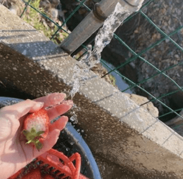 谷雨祝福2022图片 **谷雨温润了万物，