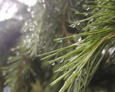 qq空间唯美经典说说