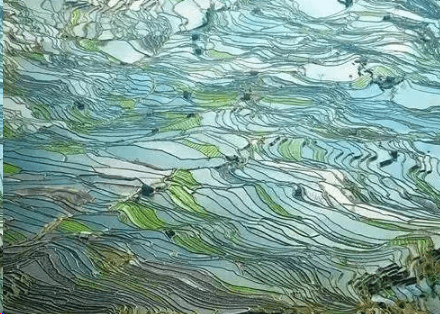 七夕情人节祝福语单身说说_我喜欢安于现状，也喜