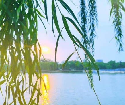 最早的春分祝福语