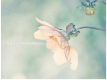 2022元宵节适合发朋友圈的搞笑说说大全 圆圆的月亮高高照，家