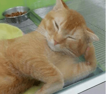 今年过清明节发条什么说说