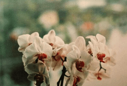 小年一句简单的晒饺子说说 祝大家新的一年里心想