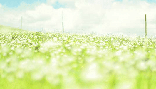 6.1儿童节爱情的说说