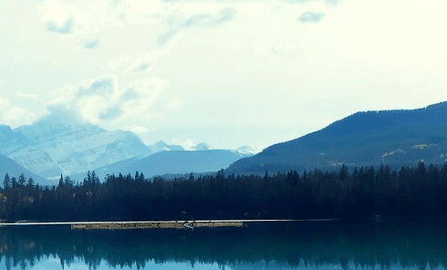 温馨女生节祝福短信大全、黄昏的余晖，浸染着我
