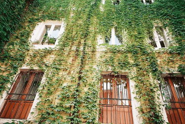 教师群元旦祝福语 你也圆圆，我也圆圆，