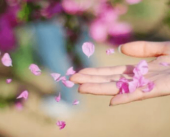 女生节祝福骚标语 **在这里，我能够抛