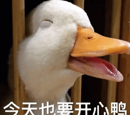 1月24情人节短语说说 人的活动如果没有理想