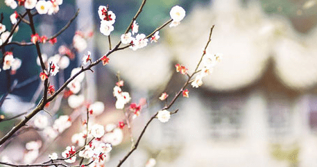 祝女朋友三八妇女节祝福语