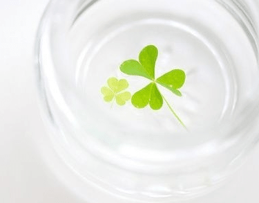 提前元旦节快乐的说说、愿你抱着平安，拥着健