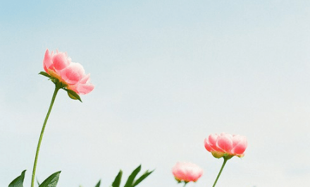 复活节的由来简短说说
