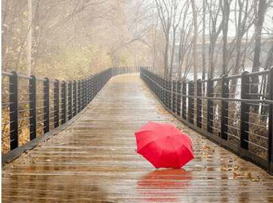 2022春分节气祝福语大全 今日春分枝头新叶盼望