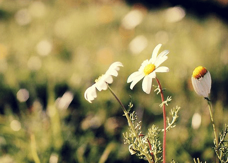 腊八节下雪说说 我用幸福米甜蜜枣快乐
