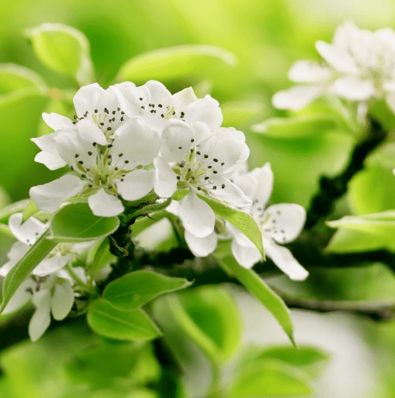 2022情人节怎么发说说