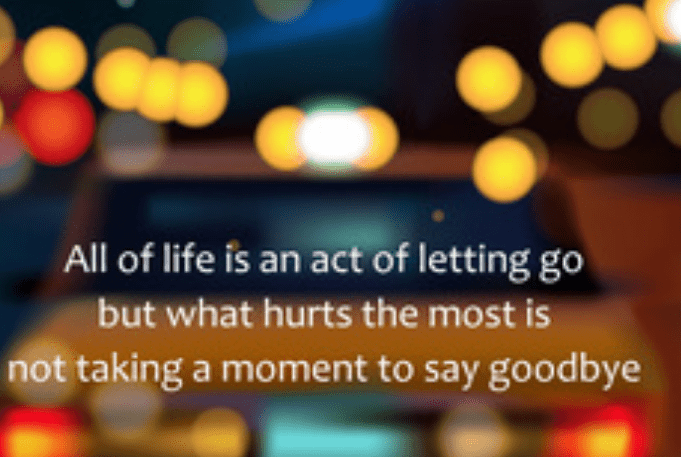 情人节告白老公的说说 我爱他，爱了3年，一