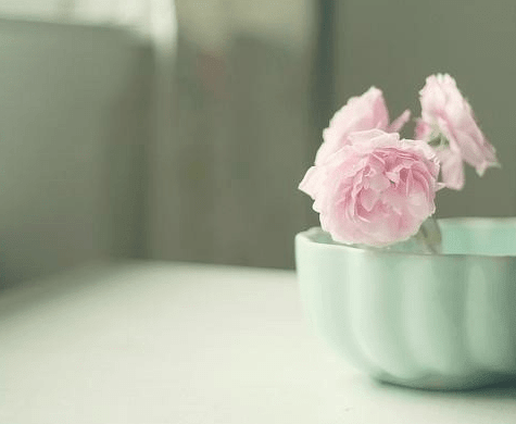 情人节祝福语感恩语