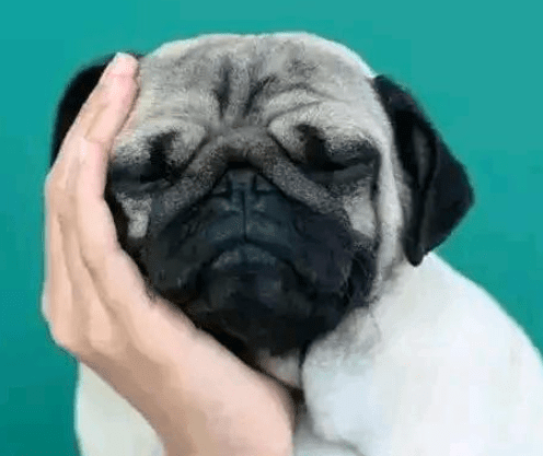 惊蛰节气到了的朋友圈简短句子