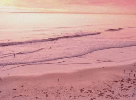 情人节爱情说说长、听话，别趟爱情这滩浑