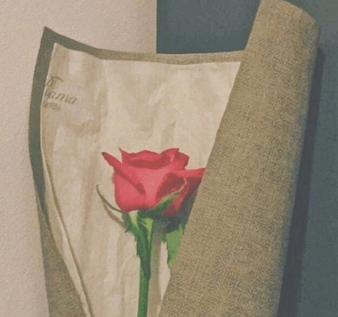 有了儿子的情人节说说 爱你，爱你，我爱你，