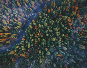 情人节早上好说说