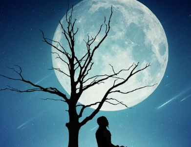 立春祝福的诗词 诚既勇兮又以武终刚强