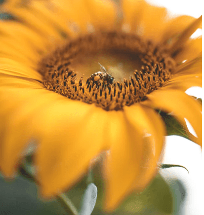 2022愚人节微信祝福语、今天节日很重要，可以