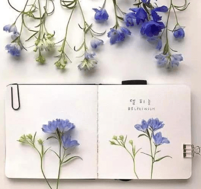 2月14日情人节发朋友圈的说说