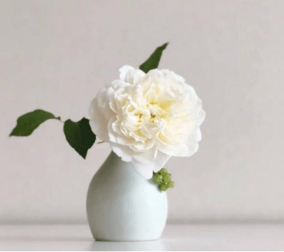 迎元旦理发店说说