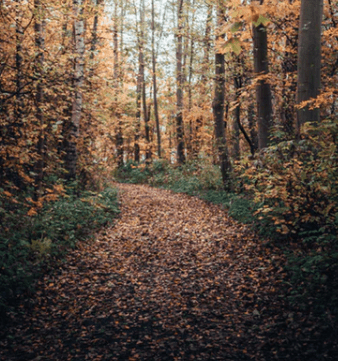 十月一日立春的说说 东风解冻，散而为雨，
