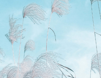 情人节晒老公的红包说说、当我们相偎相依，那是