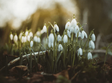 六年级最后一年的儿童节说说