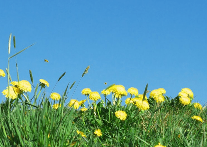 复活节祝福邮件模板