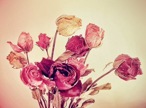 描写谷雨优美句子 **五月的谷雨，让人