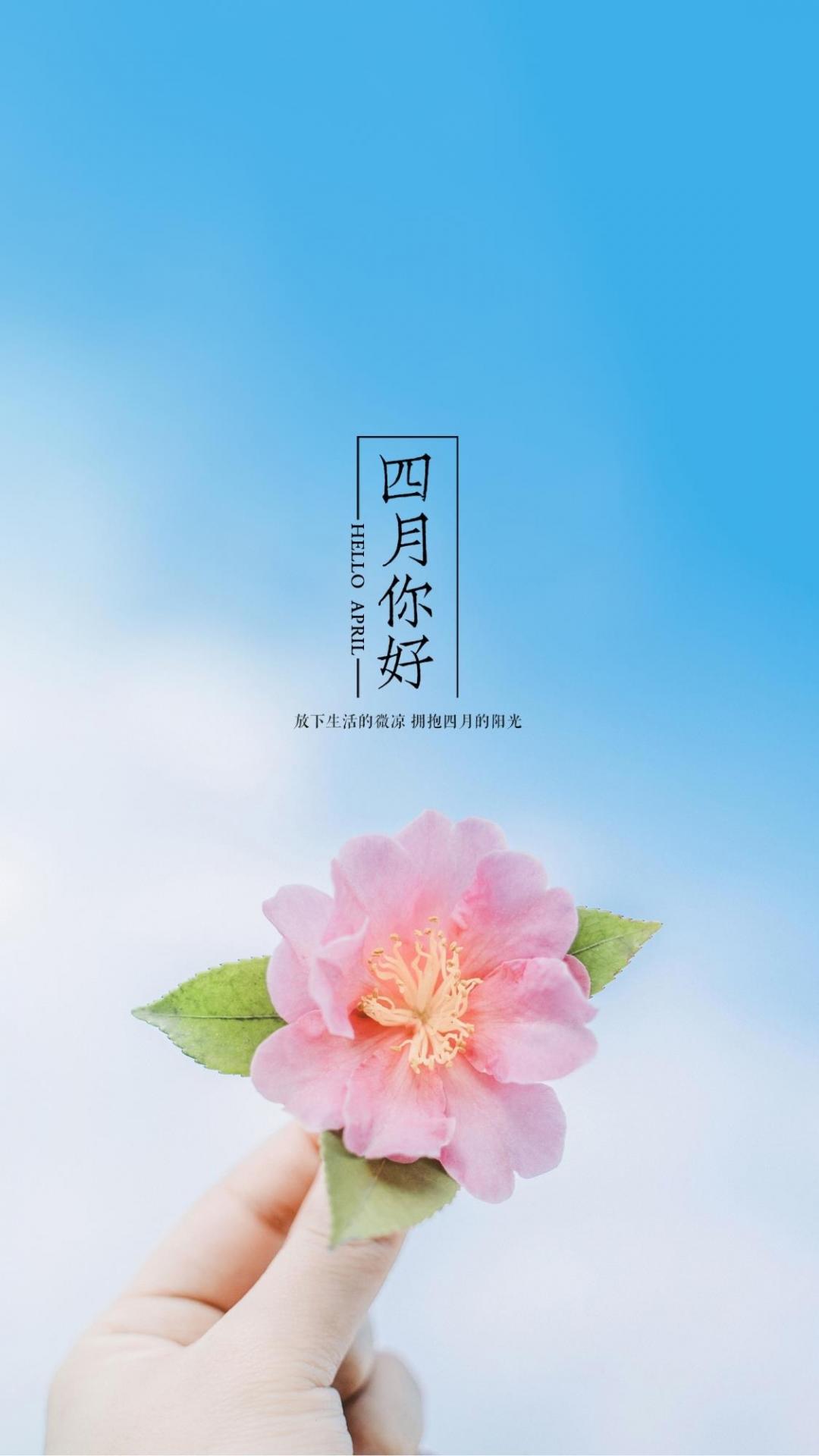 2022适合单身狗在情人节发的说说