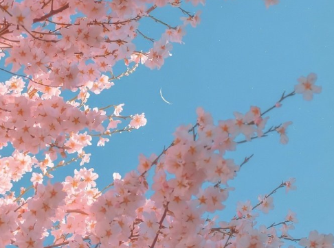 腊八节送给朋友的简单祝福语_今日大寒宜跳宜玩雪宜